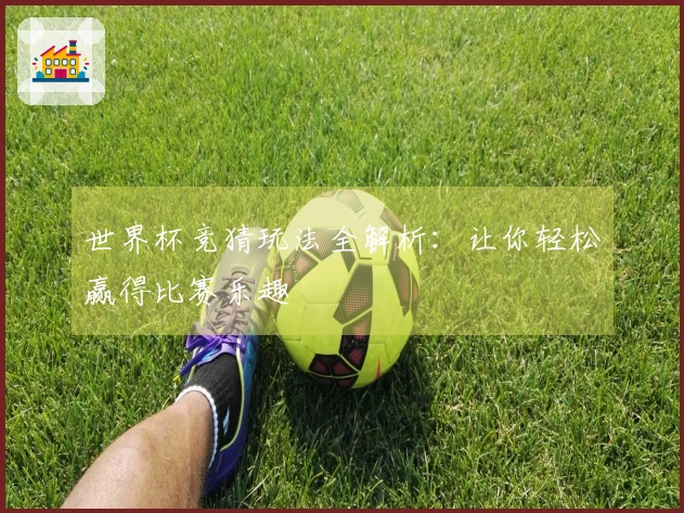 世界杯竞猜玩法全解析：让你轻松赢得比赛乐趣
