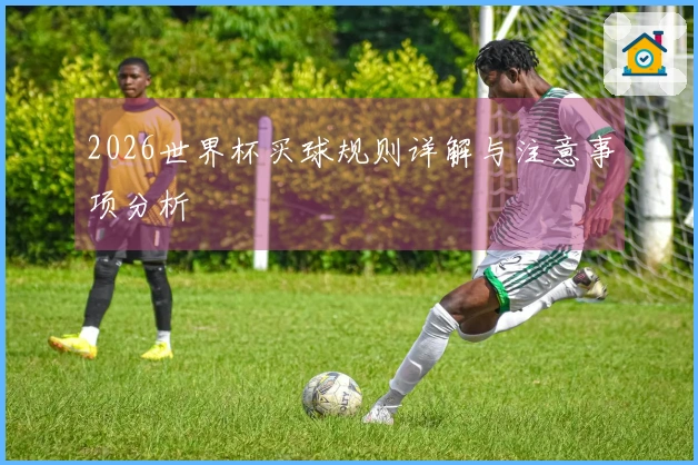 2026世界杯买球规则详解与注意事项分析