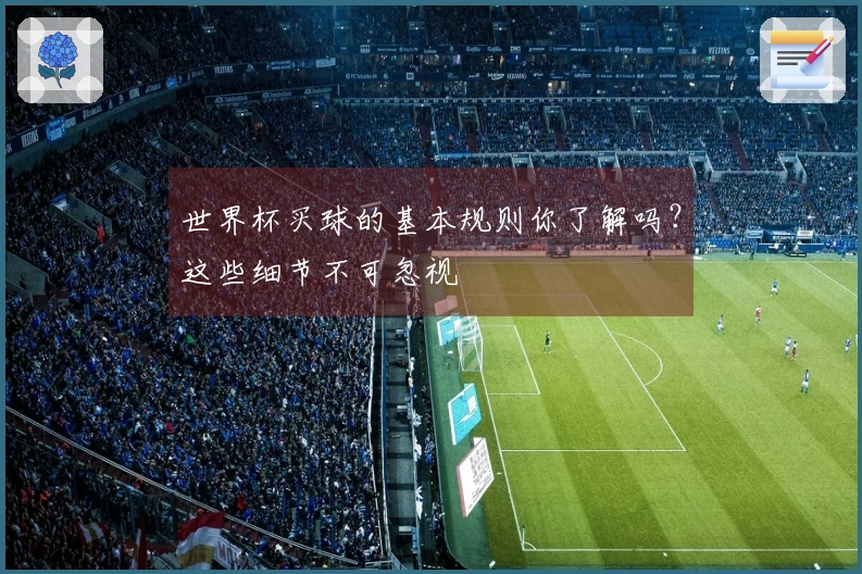 世界杯买球的基本规则你了解吗？这些细节不可忽视