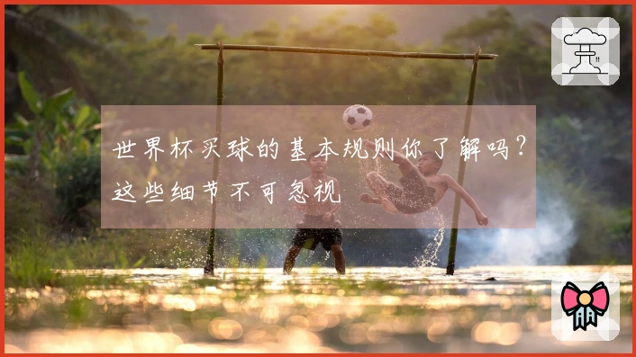 世界杯买球的基本规则你了解吗？这些细节不可忽视